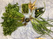 Letzte-Ernte-auf-dem-Schulacker