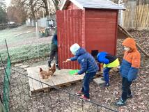 Hühner ziehen in unseren Lerngarten ein